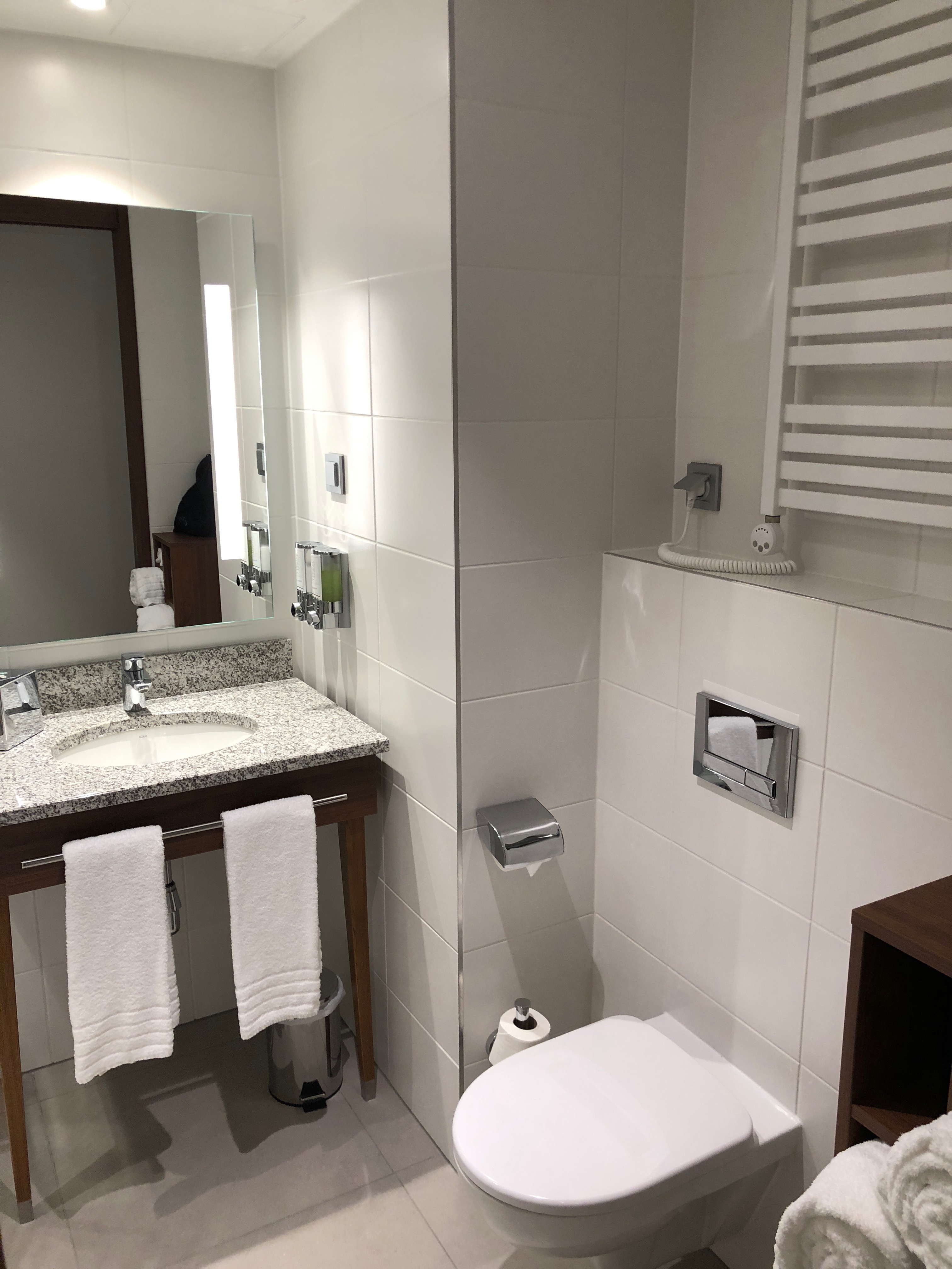 a bathroom with a sink and a toilet