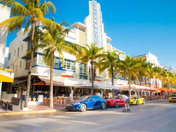 a street with cars and palm trees