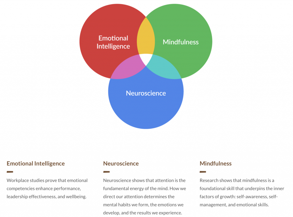 a diagram of different colors and words