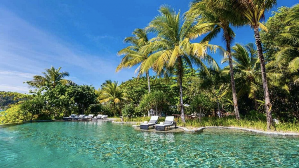 a pool with chairs and palm trees