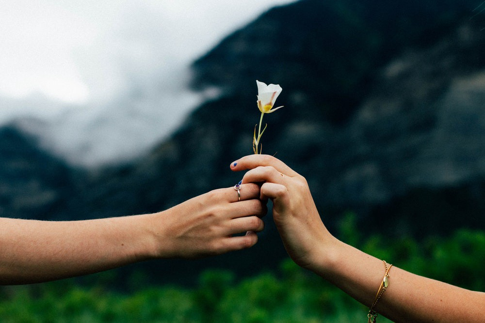 a person holding a flower