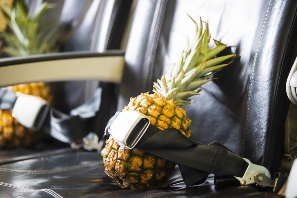 a pineapple tied to a seat belt