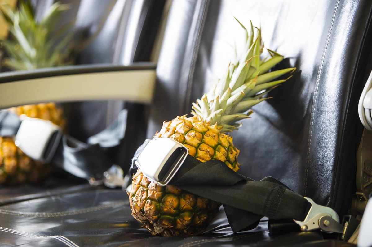 a pineapple with a seat belt on a seat