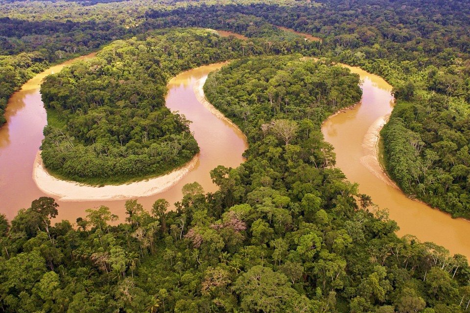 a river flowing through a forest