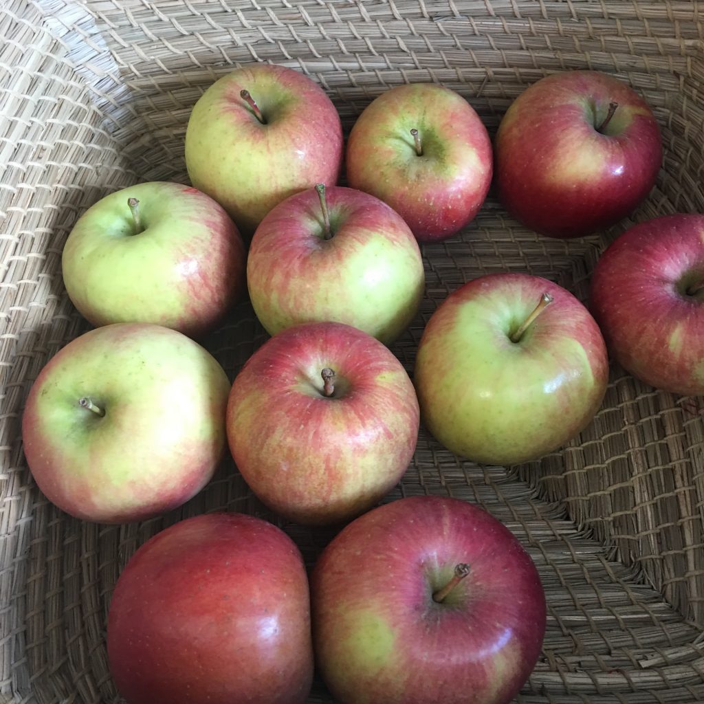 a group of apples in a basket