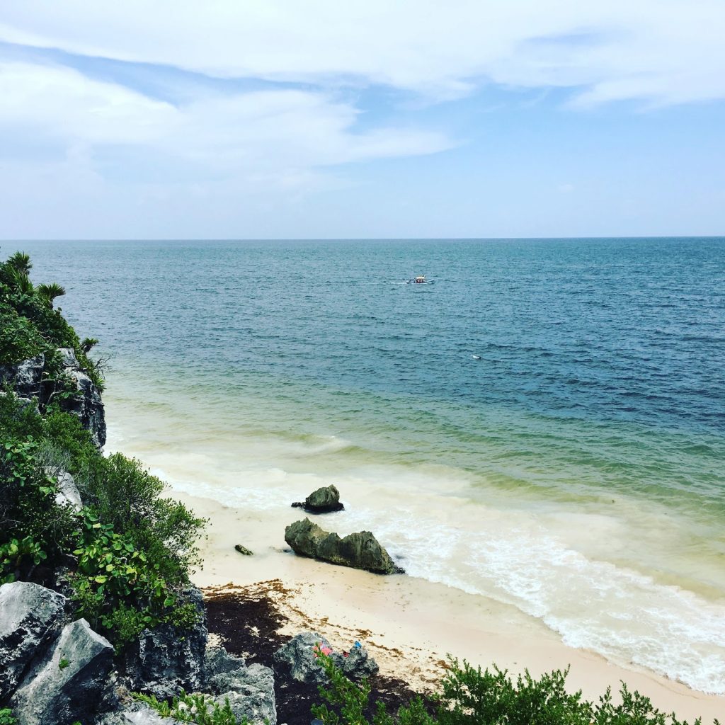 a beach with rocks and trees