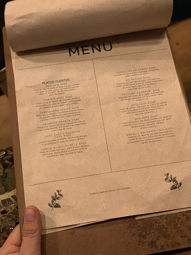 a hand holding a menu