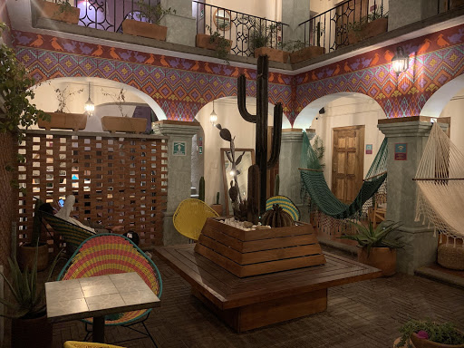 a room with a cactus statue and hammocks