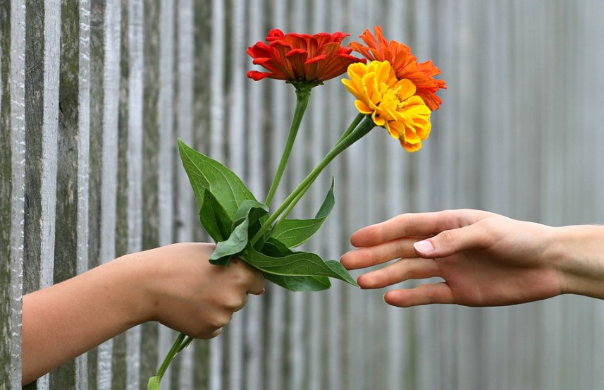 a hand giving flowers to another hand