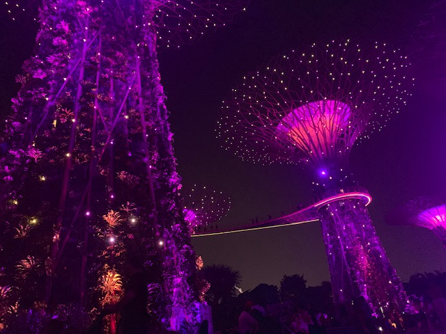 gardens by the bay in singapore