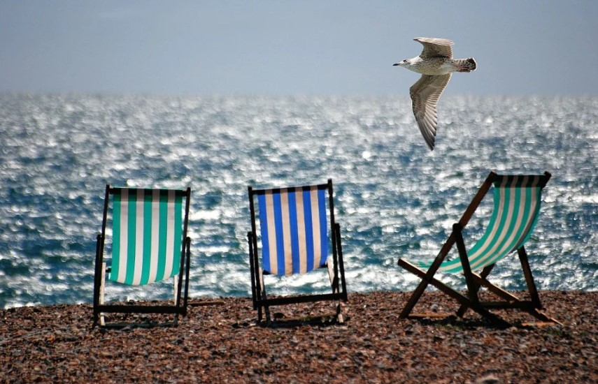 a bird flying over chairs on a beach