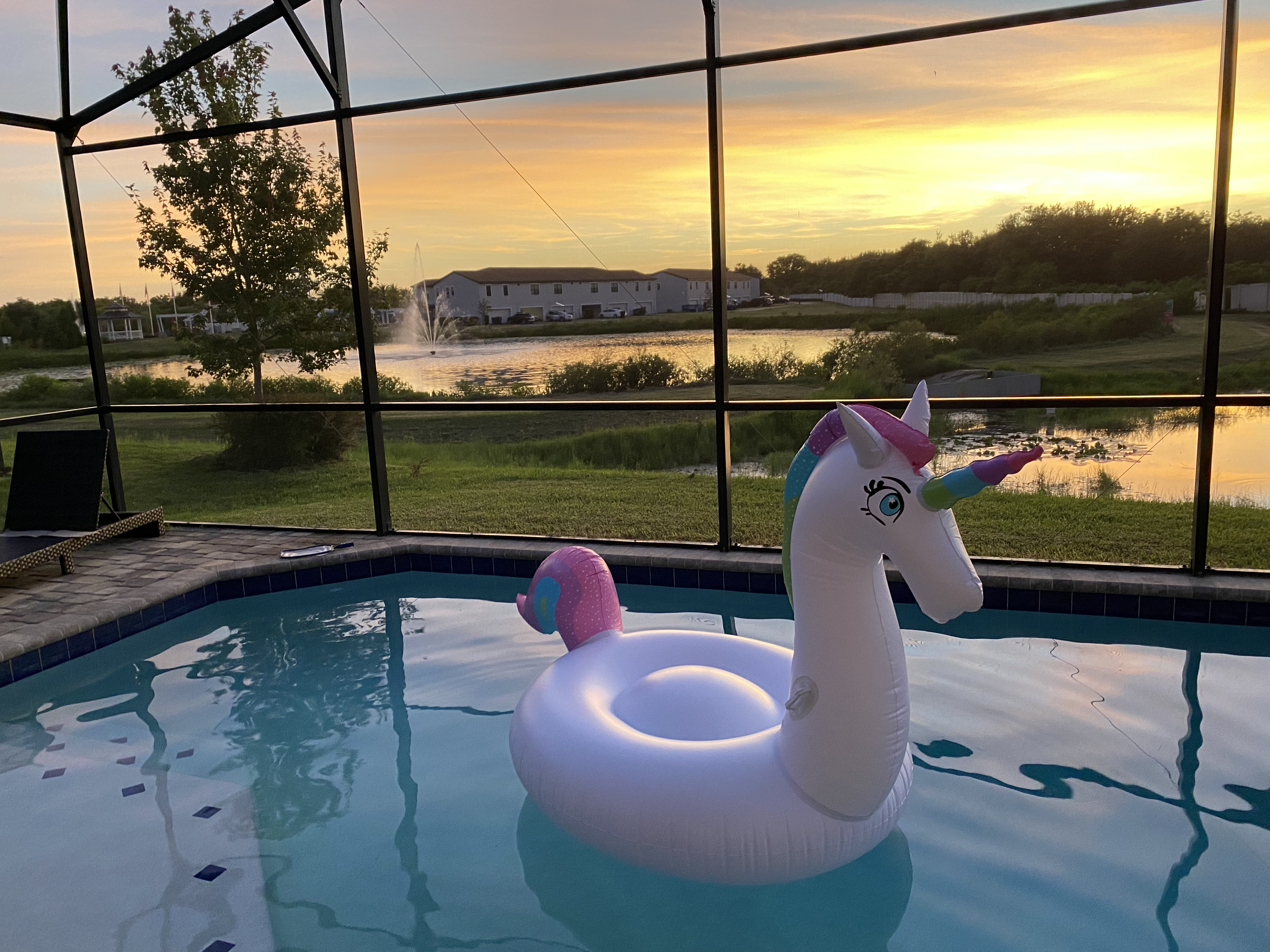 a inflatable unicorn in a pool