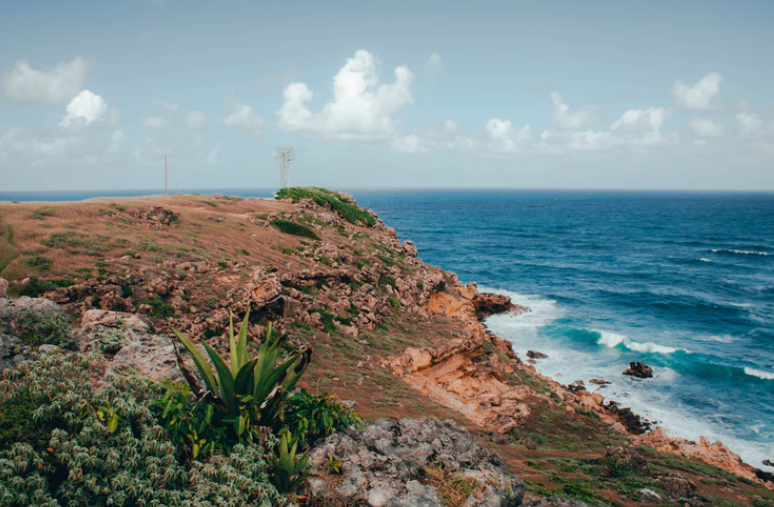 a rocky cliff with a body of water and plants