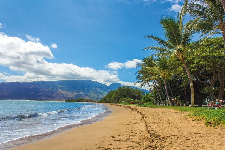 Hawaii beach