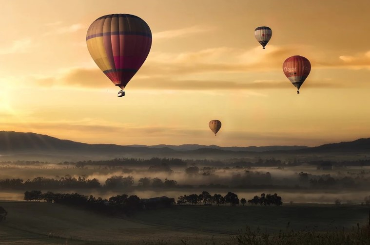 hot air balloons in the sky