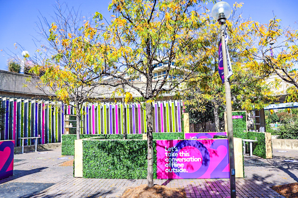 a tree with yellow leaves and a sign